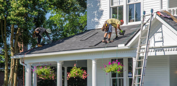 Best Roof Insulation Installation  in Port Carbon, PA